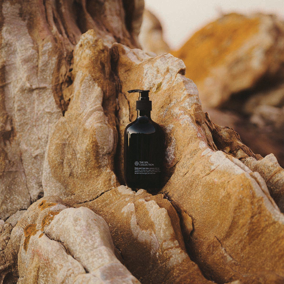 Gum tree body wash in the atmosphere of Cape Town